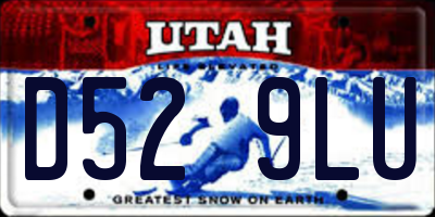 UT license plate D529LU