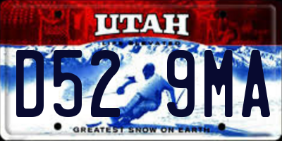 UT license plate D529MA