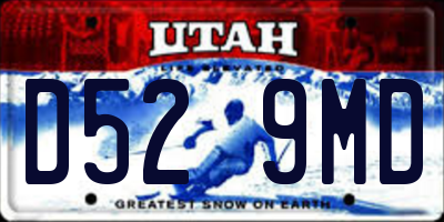 UT license plate D529MD