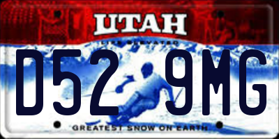 UT license plate D529MG