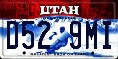 UT license plate D529MI