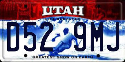 UT license plate D529MJ