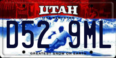 UT license plate D529ML