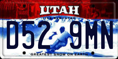 UT license plate D529MN