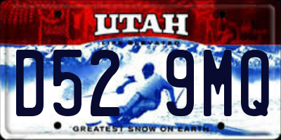 UT license plate D529MQ