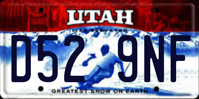 UT license plate D529NF