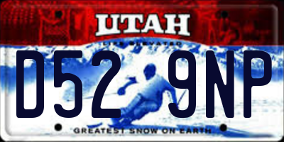 UT license plate D529NP