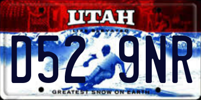 UT license plate D529NR