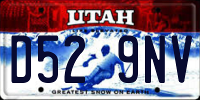 UT license plate D529NV