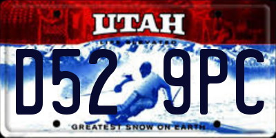 UT license plate D529PC