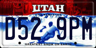 UT license plate D529PM