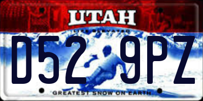 UT license plate D529PZ