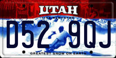 UT license plate D529QJ
