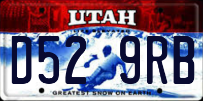 UT license plate D529RB