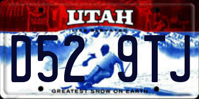 UT license plate D529TJ