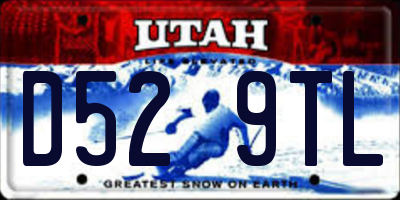 UT license plate D529TL