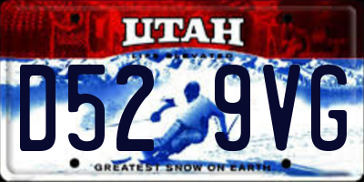 UT license plate D529VG