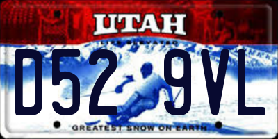 UT license plate D529VL