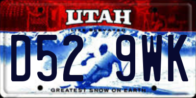 UT license plate D529WK