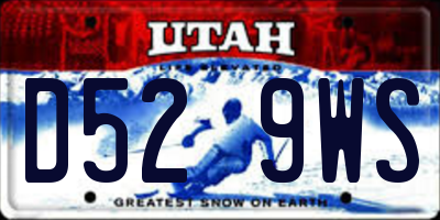 UT license plate D529WS