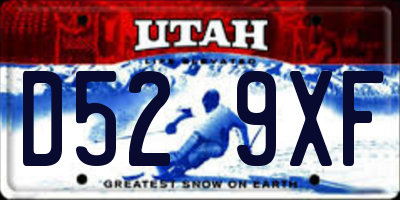 UT license plate D529XF