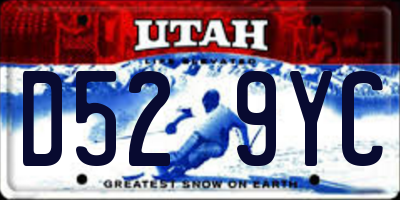 UT license plate D529YC
