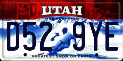 UT license plate D529YE
