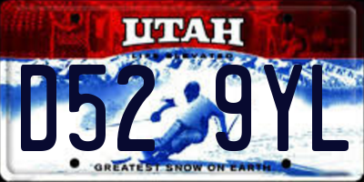 UT license plate D529YL