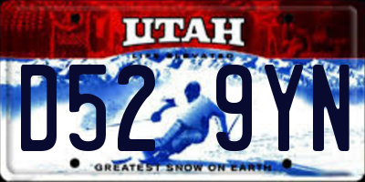 UT license plate D529YN