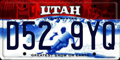 UT license plate D529YQ