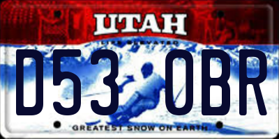 UT license plate D530BR