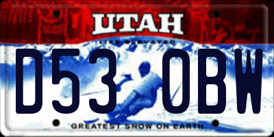 UT license plate D530BW