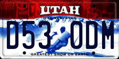 UT license plate D530DM