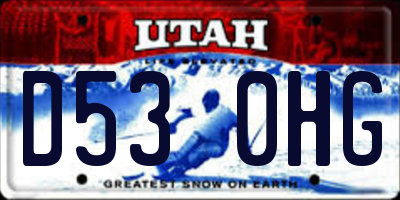 UT license plate D530HG