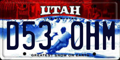 UT license plate D530HM