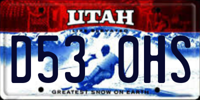 UT license plate D530HS