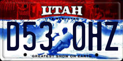 UT license plate D530HZ