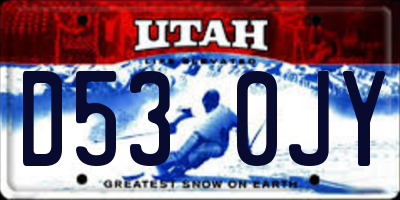 UT license plate D530JY