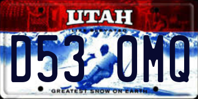 UT license plate D530MQ