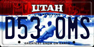 UT license plate D530MS