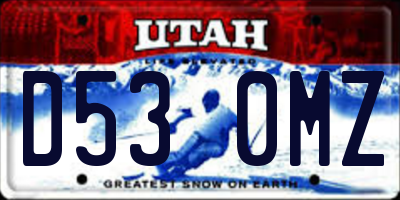 UT license plate D530MZ