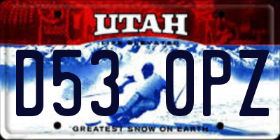 UT license plate D530PZ