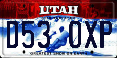 UT license plate D530XP