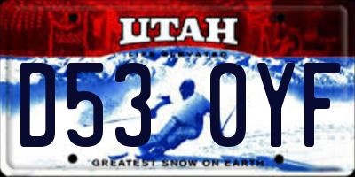 UT license plate D530YF
