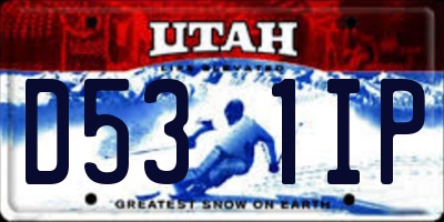 UT license plate D531IP
