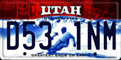 UT license plate D531NM