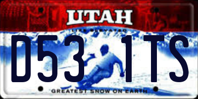 UT license plate D531TS