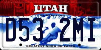 UT license plate D532MI