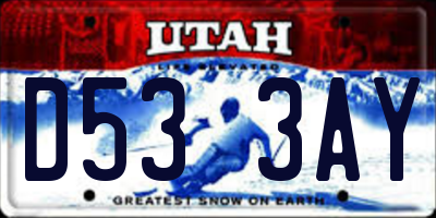 UT license plate D533AY