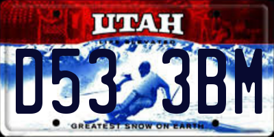 UT license plate D533BM
